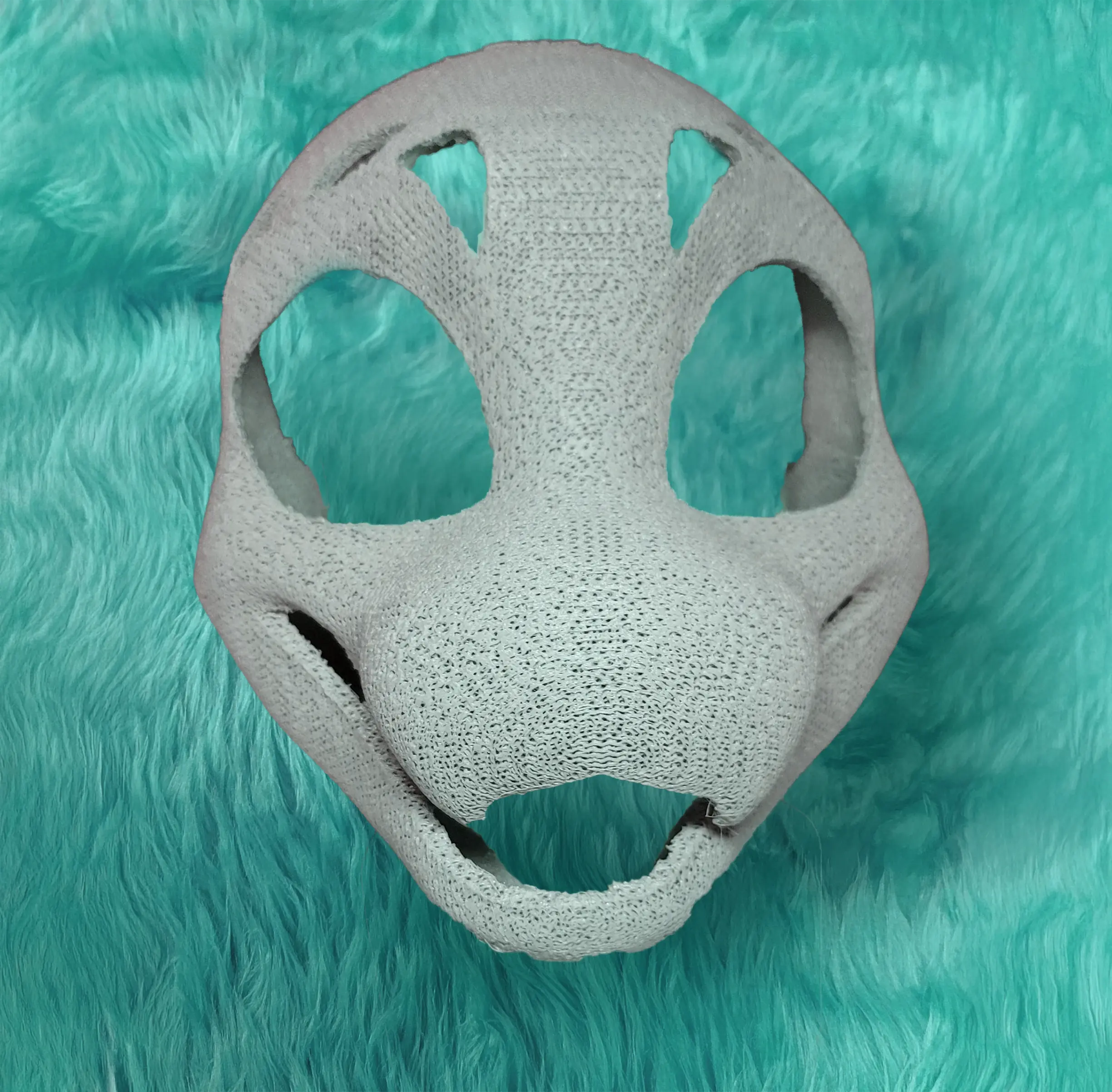 Front View