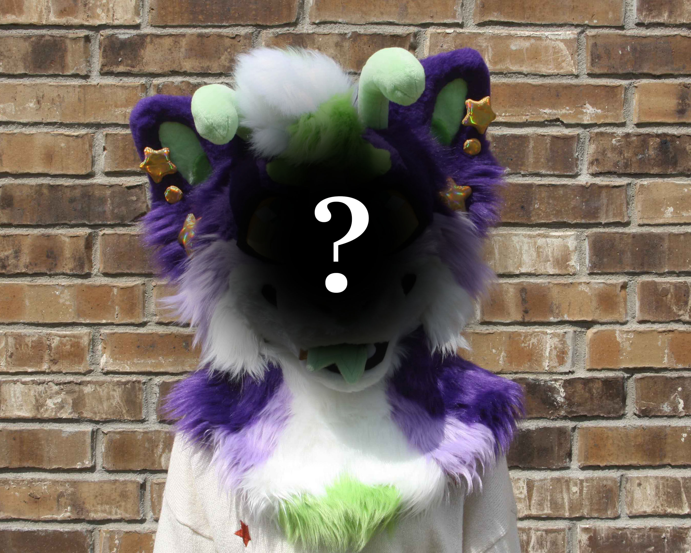 Custom Fursuit